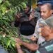 Dukung Perkembangan UMKM, Kapolda Papua Tengah Bersama Forkopimda Puncak Jaya Kunjungi Perkebunan Kopi Mulia