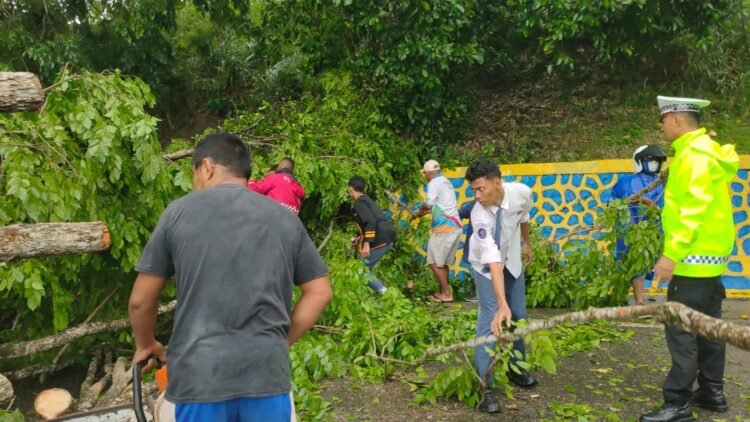 Sinergi Cepat Polri dan Warga Bersihkan Pohon Tumbang di Skyland Jayapura