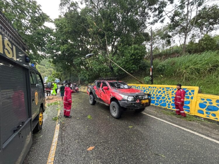Tim SAR Ditsamapta Polda Papua Tangani Pohon Tumbang di Tanjakan Pospol Lantas Vihara Skeylen