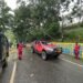 Tim SAR Ditsamapta Polda Papua Tangani Pohon Tumbang di Tanjakan Pospol Lantas Vihara Skeylen