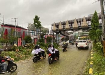 Tim SAR Direktorat Samapta Polda Papua Bersihkan Pohon Tumbang di Depan GOR Jayapura
