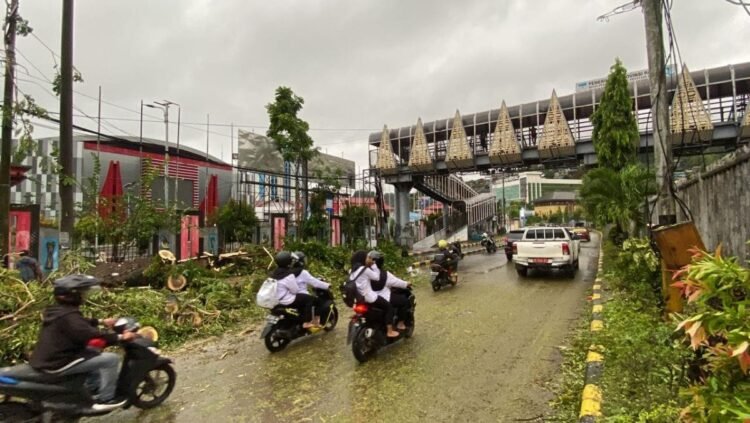 Tim SAR Direktorat Samapta Polda Papua Bersihkan Pohon Tumbang di Depan GOR Jayapura