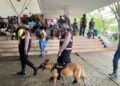 Unit Satwa K-9 Ditsamapta Polda Papua Gelar Patroli Di Wilayah Perbatasan RI–PNG