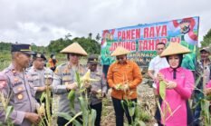 Polres Biak Laksanakan Panen Raya Jagung Tahap IV, Wujud Nyata Dukung Ketahanan Pangan Nasional
