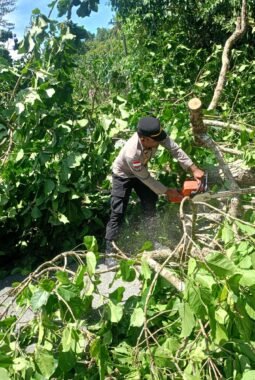 Polsek Muara Tami Sigap Tangani Pohon Tumbang di Jalan Poros Koya Tengah