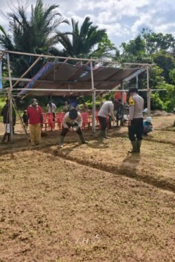 Polsek Bonggo Dorong Ketahanan Pangan, Bersama Petani Tanam Kacang Tanah di Kampung Rotea