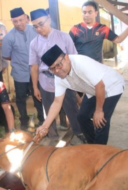 Polda Papua Salurkan Hewan Kurban Idul Adha 1447 H, Wujudkan Kepedulian dan Semangat Berbagi